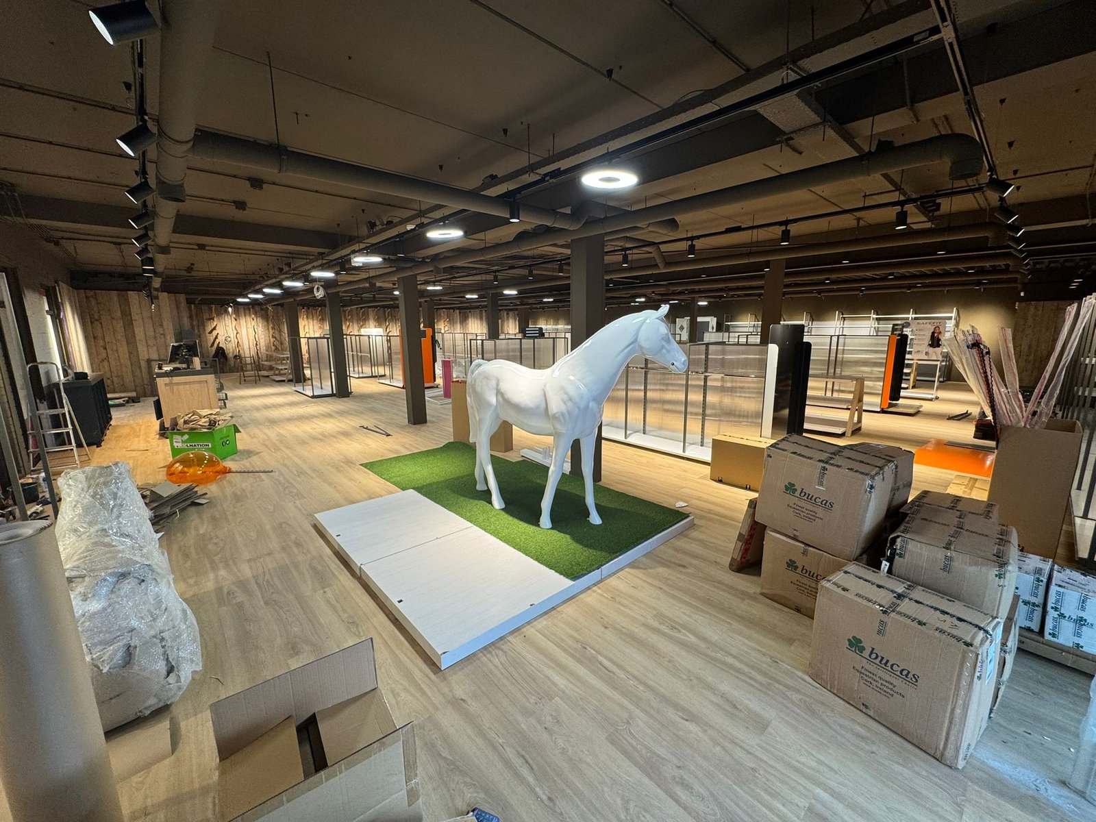 afbeelding van whatsapp op 2025 10 22 om 12.58.34 e4989a01